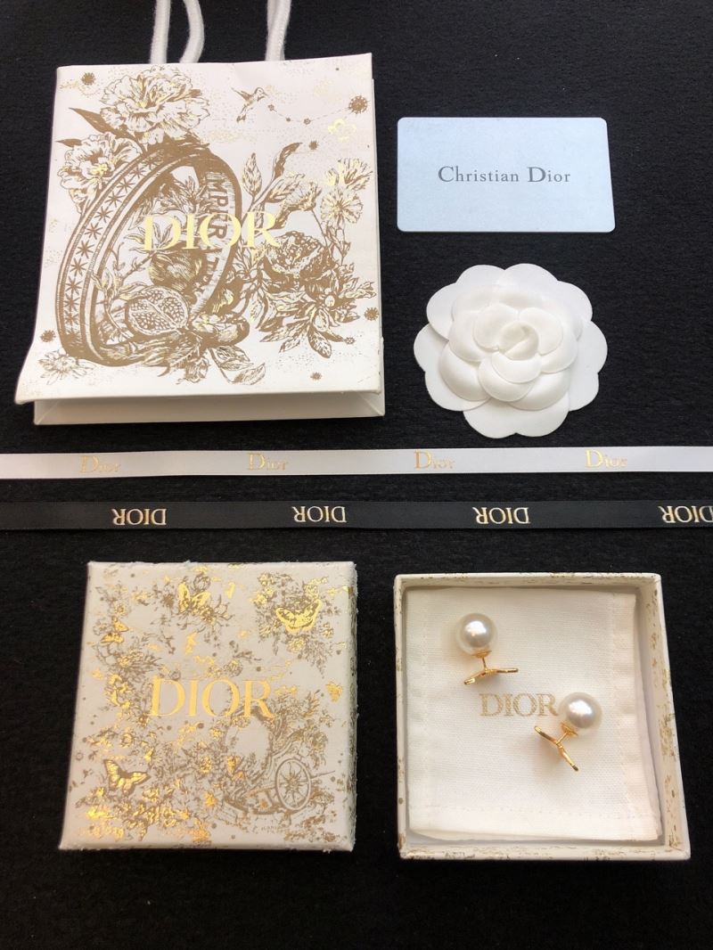 Christian Dior Earrings